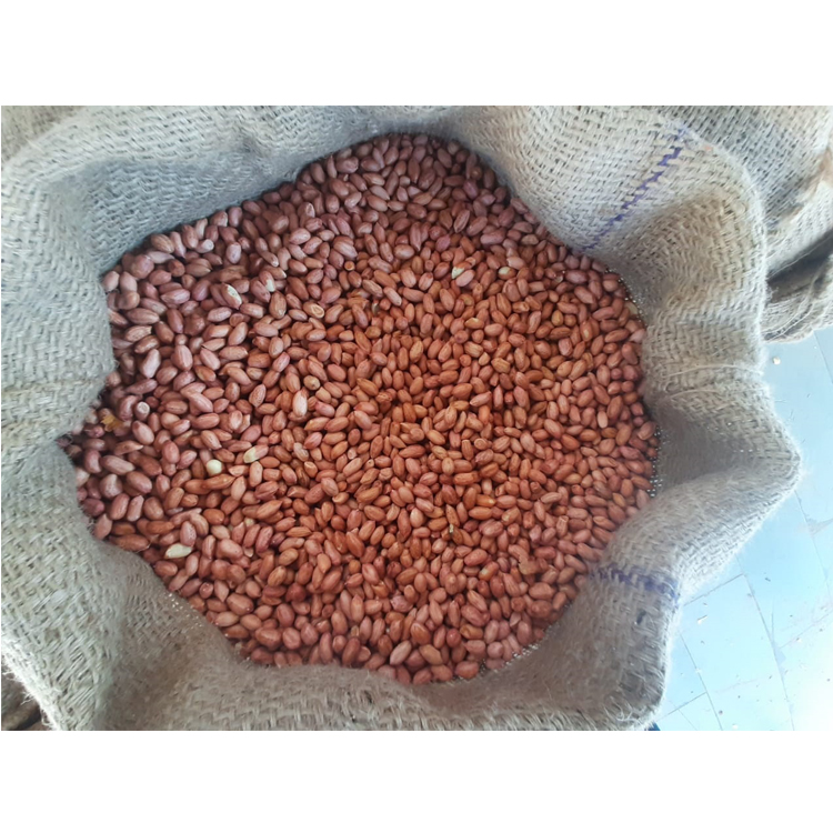 High Quality 100% Natural Pure Bold Kernel Peanuts / Groundnuts Available in Bulk
