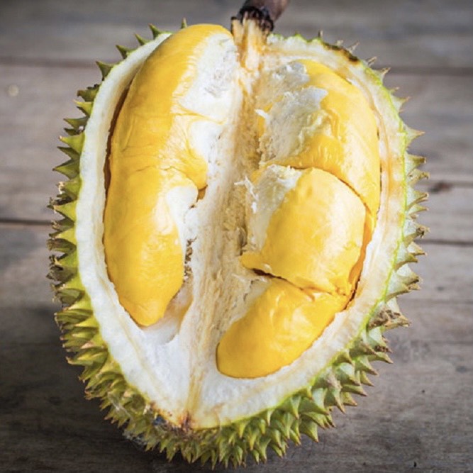 Durian Fresh Fruit Variety Weight