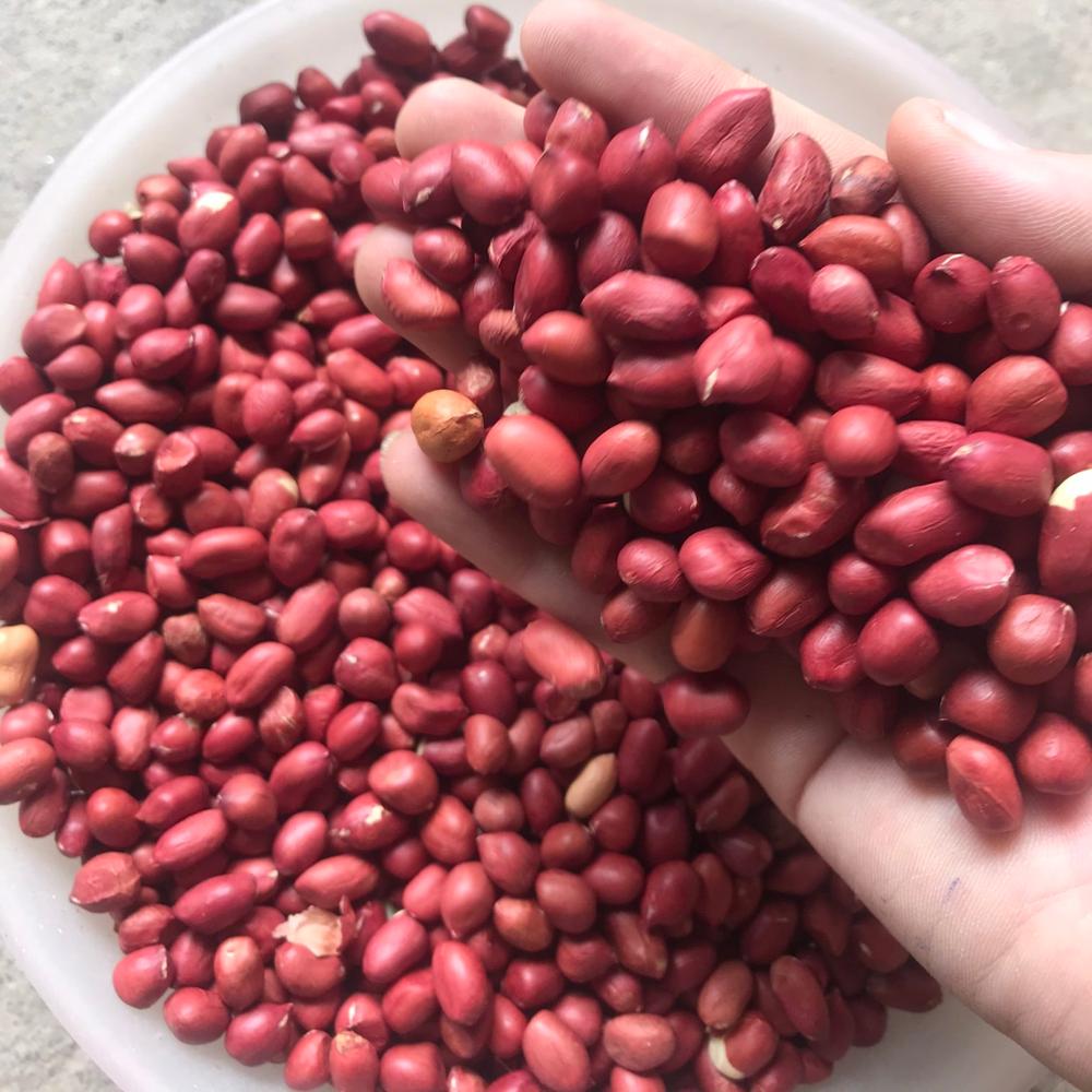 Вьетнамский арахис из красной кожи