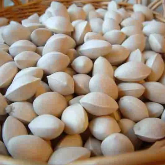 Ginkgo Nuts /Peeled Ginkgo Nuts/Raw Ginkgo Nuts from South Africa price supplier