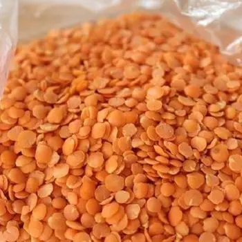 High Quality Bulk Dried whole split Lentils Red Lentils Green Lentils