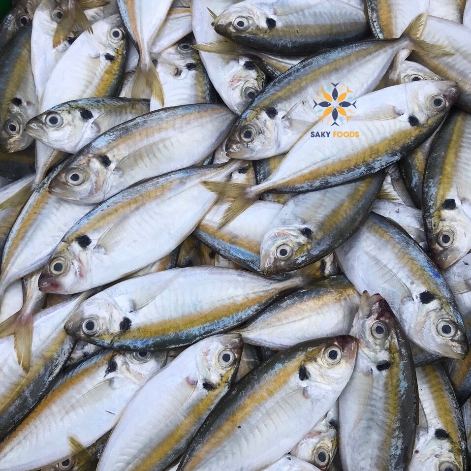 Frozen Yellowstripe Scad - Cheap price from Vietnam