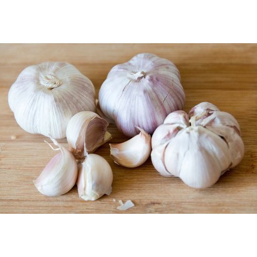 Natural Fresh White Garlic