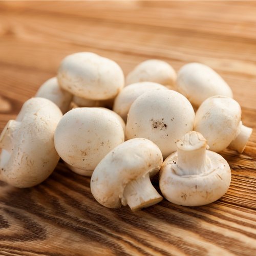 Dried mushrooms wholesale