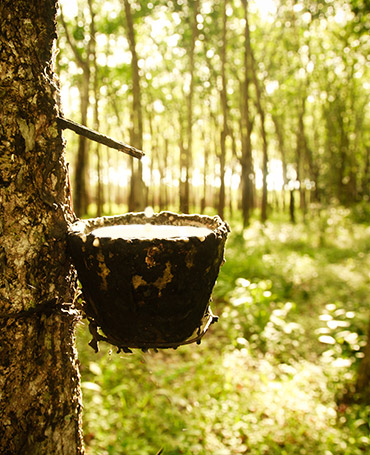 Malaysia Natural Latex HA Concentrate DRC60%