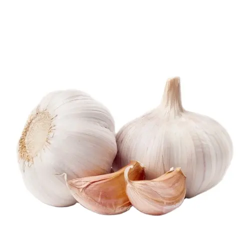 PREMIUM Garlic, fresh garlic for export.