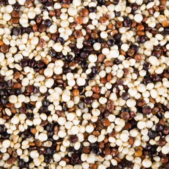 Quinoa Premium Quality Quinoa Grain available