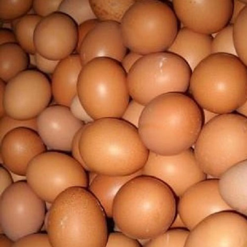 Свежие куриные яйца