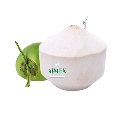 PREMIUM VIETNAMESE COCONUT WITH DIAMOND CUT