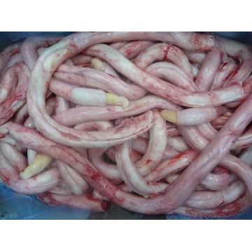 Дешевые поставщики замороженных говядин