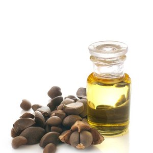 Camellia Organic Carrier Oil For Haircare