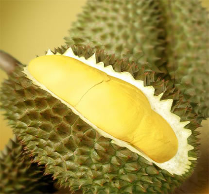 Органическое культивирование DURIAN Golden XO Durian, класс AA, свежий, с сертификацией ISO, замороженный весь Mustang King Durian