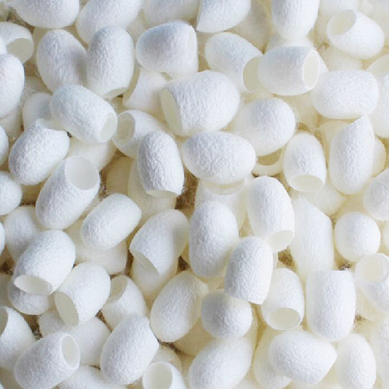 Viet Nam Factory wholesale 100%natural cut silk cocoon Skin care silkworm cocoon for beauty/ Ms Laura +84 91 850 9071
