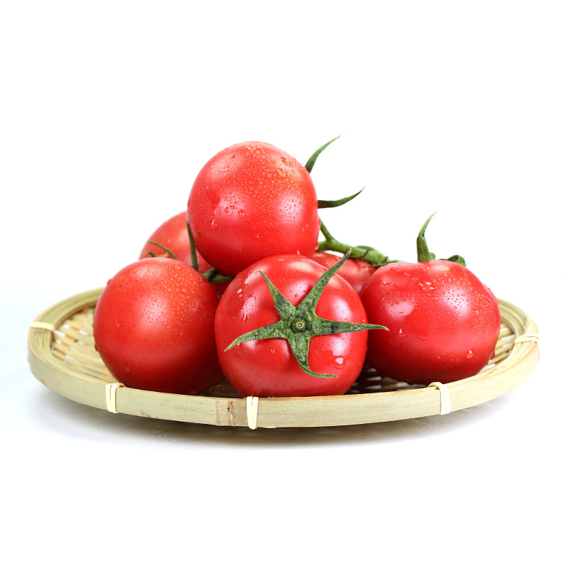 Wholesale Box Style Storage Packaging Fresh Tomato Price Fresh Tomatoes Albania Fresh Cherry Tomato