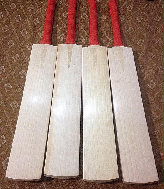 Customized Plain English Willow Cricket Bats