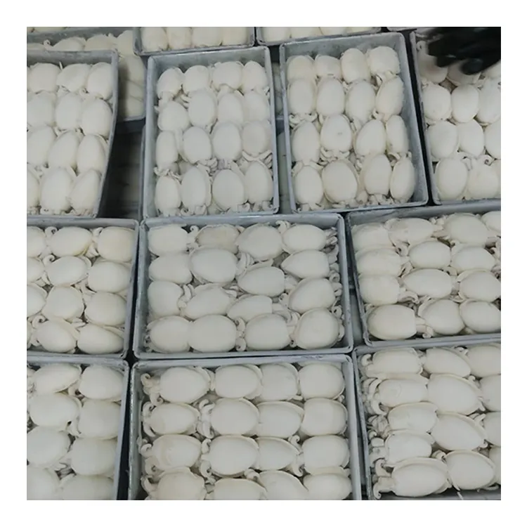 Полностью очищенные замороженные продукты для морской рыбы