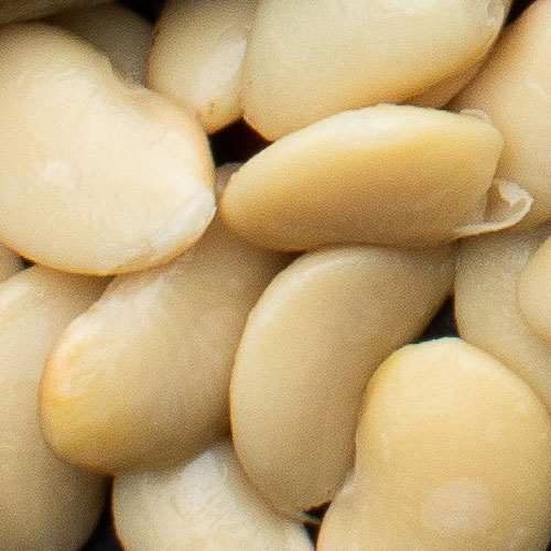 Распродажа бобов водяного масла