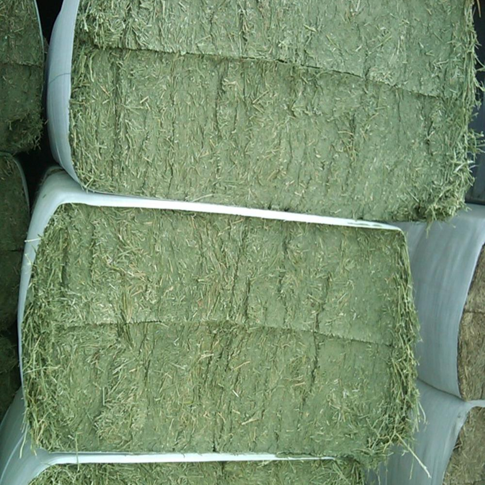 Сено луговое с травами и Люцерн сена для продажи