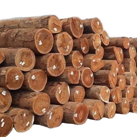 Round Eucalyptus pressed wood logs