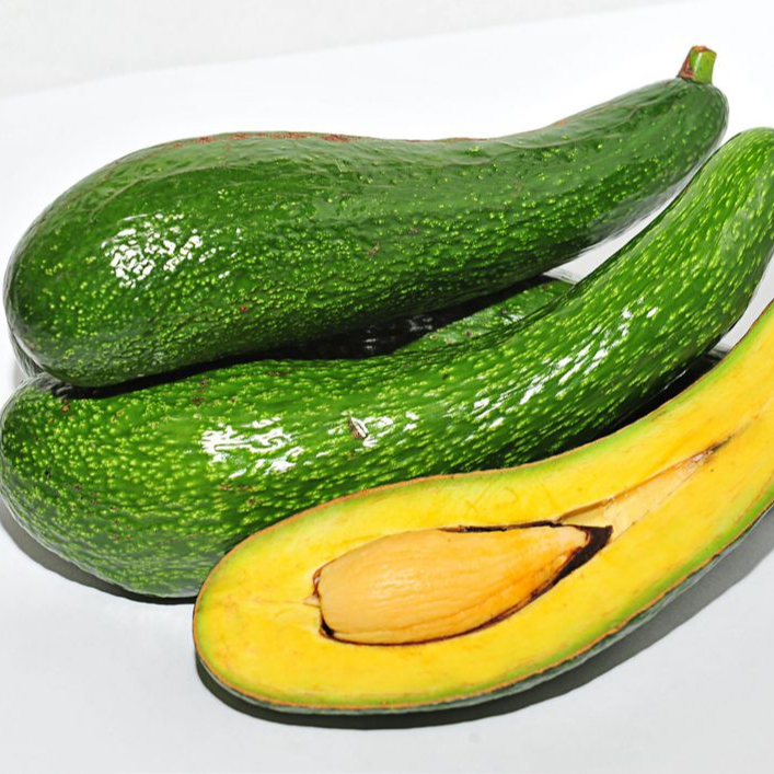 Fresh Avocado from vietnam for export standard avocado best quality ready shipping to other market