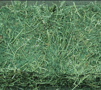 Timothy Hay for Cows and Horses for Sale