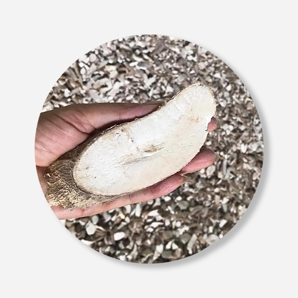 Best Seller Dried Cassava Chips For Food Industry or Making Animal Feed and Ethanol
