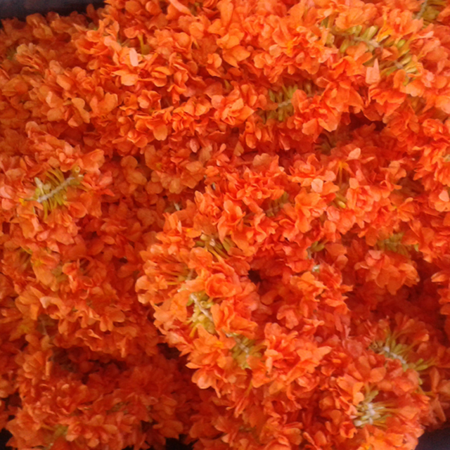 Kanakambaram струны
