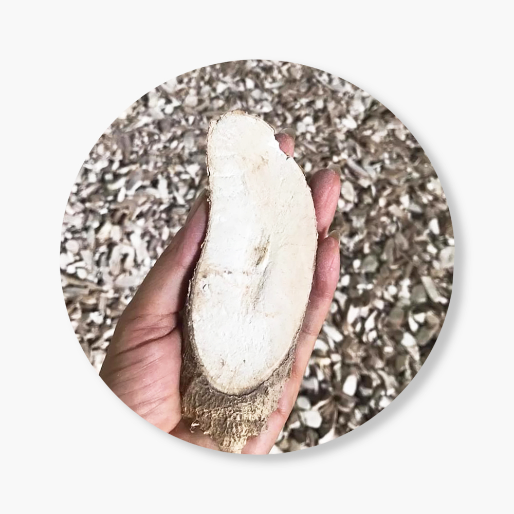 Dried Cassava Chips For Food Industry or Making Animal Feed