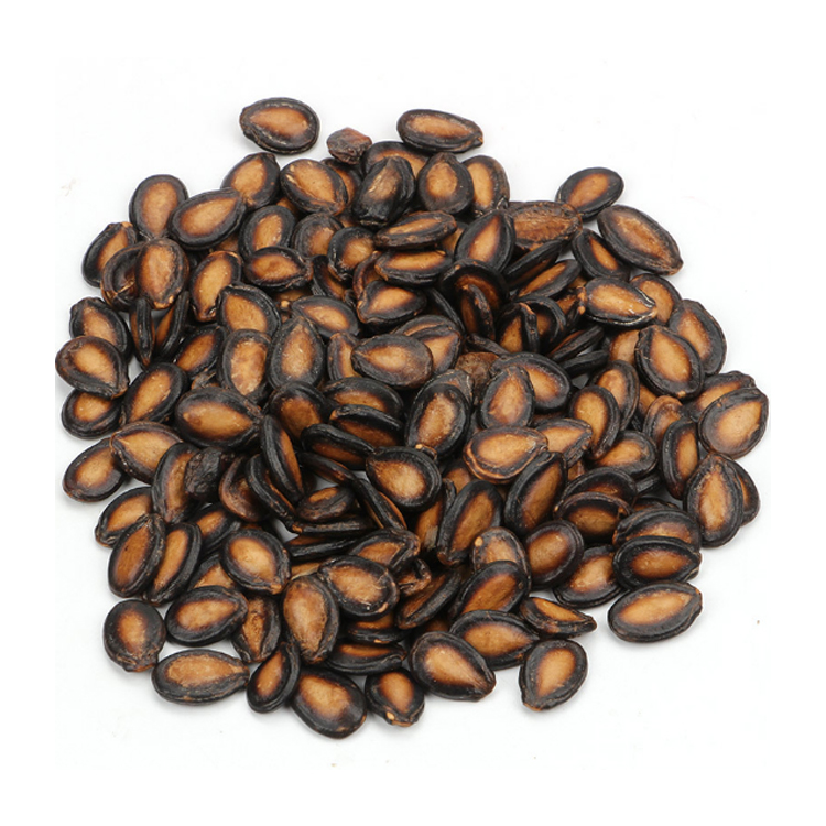 LAW PRICE DRIED WATER MELON SEEDS / BLACK-RED-WHITE WATERMELON SEED