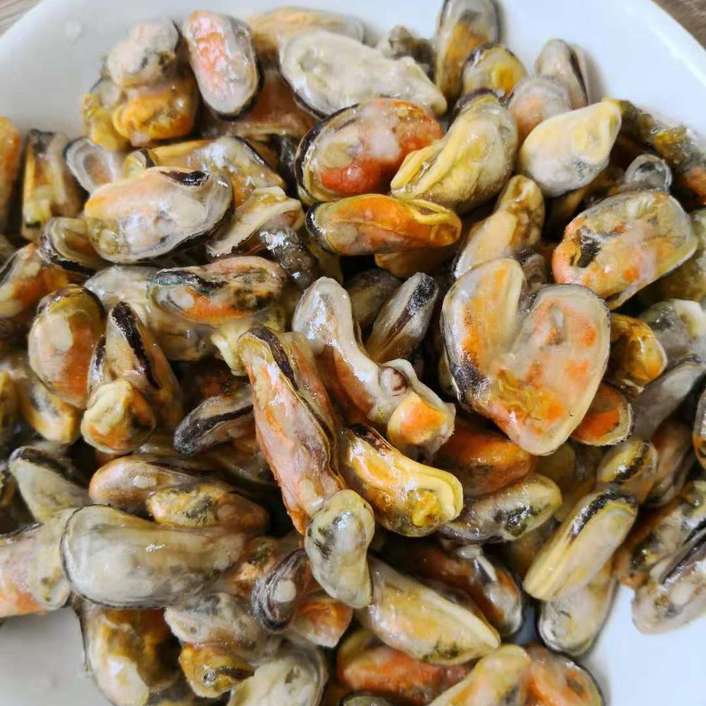 frozen cooked mussel with half shell