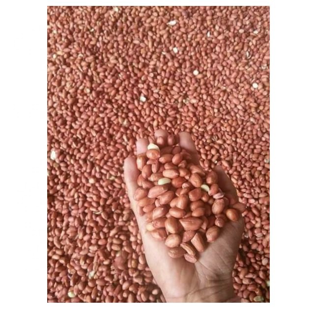 GROUNDNUT KERNEL BOLD 50/55 WHOLESALE PRICE