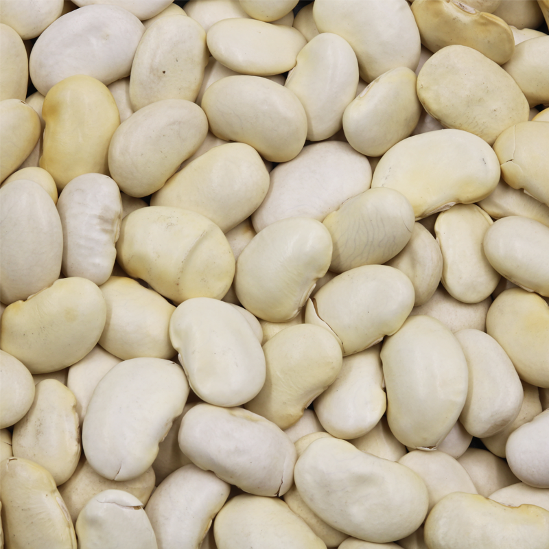 Borlotti Rehydrated бобов 24x400 г Макс легкий стиль упаковки цвет вес полки коричневый происхождение Тип масло срок службы сушеный мин