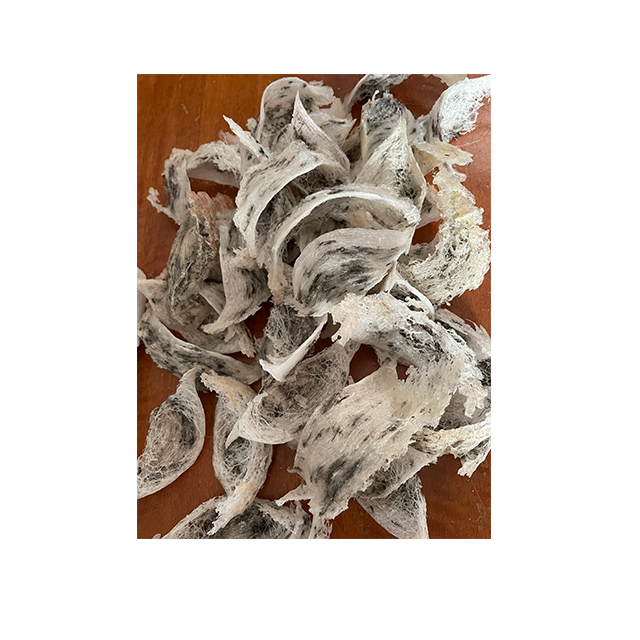 Natural Edible Bird's Nest Grede A Healthcare Supplement 250 g Premium Product from South Thailand