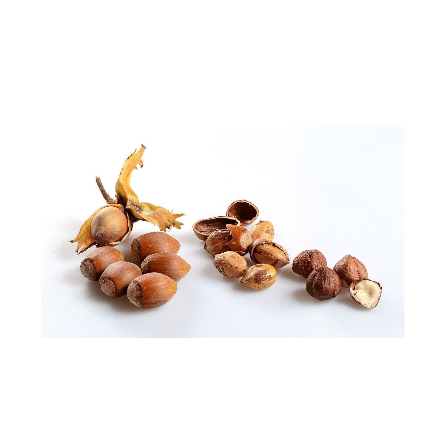 Premium Quality Blanched Hazelnuts Organic Dried Hazel Nuts