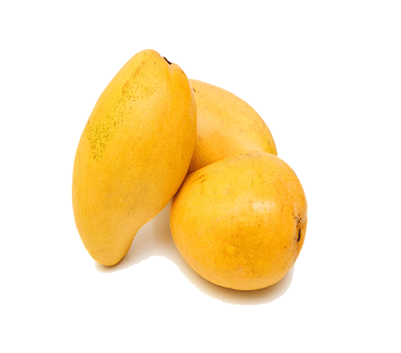 Top quality fresh Alphonso Mangoes for export