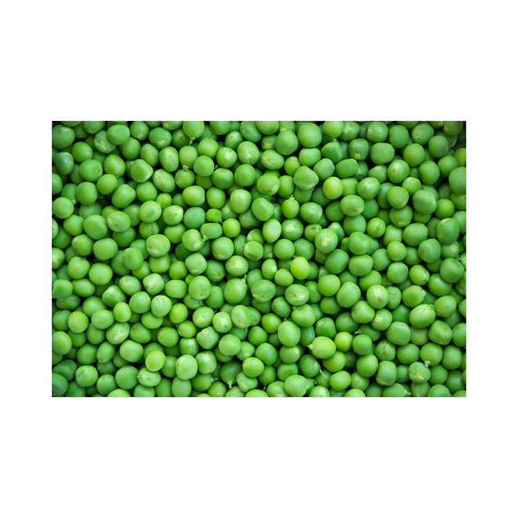 Best quality dried peas in bulk, food wholesale
