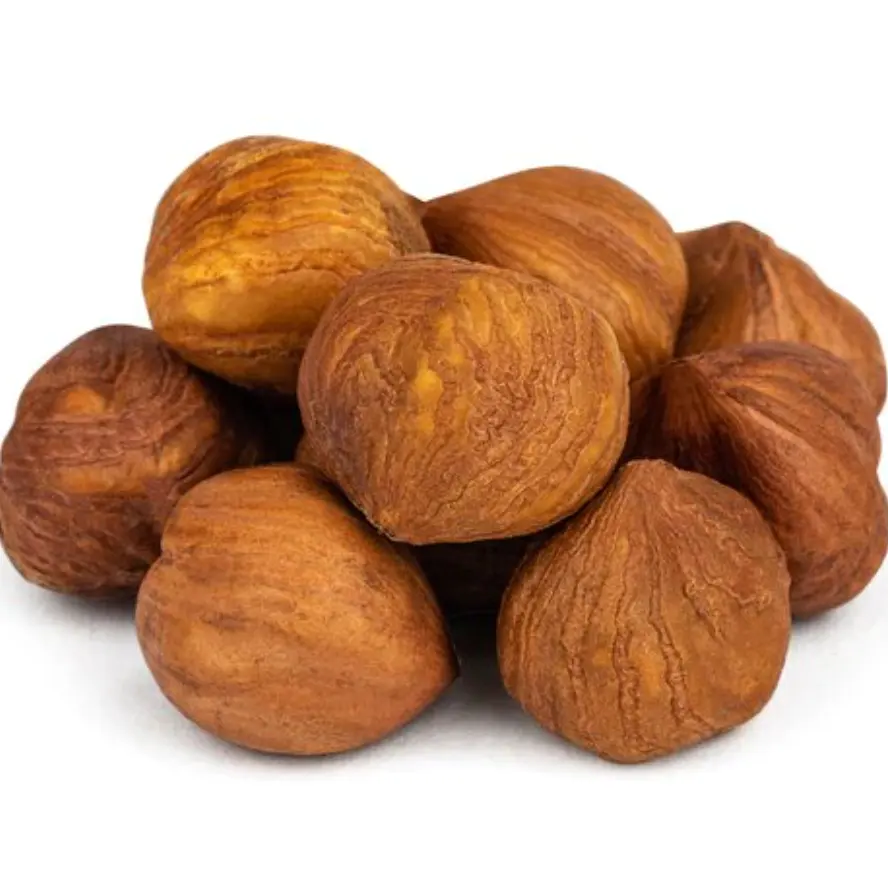 Turkish Hazelnut Raw Hazelnuts in Shell Raw Roasted Natural Style Packaging Food Organic Origin Vacuum Human Type High Dried TSE