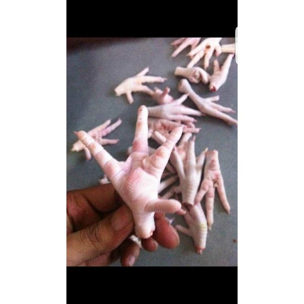 Сертифицированные Халяльные замороженные куриные лапы и ноги