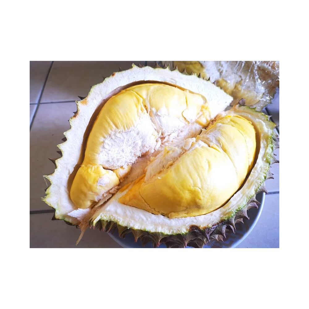Yummy Organic Durian Monthong Thailand