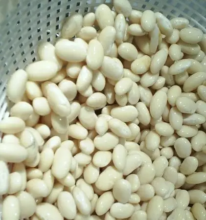 High Quality Butter Beans From Thailand