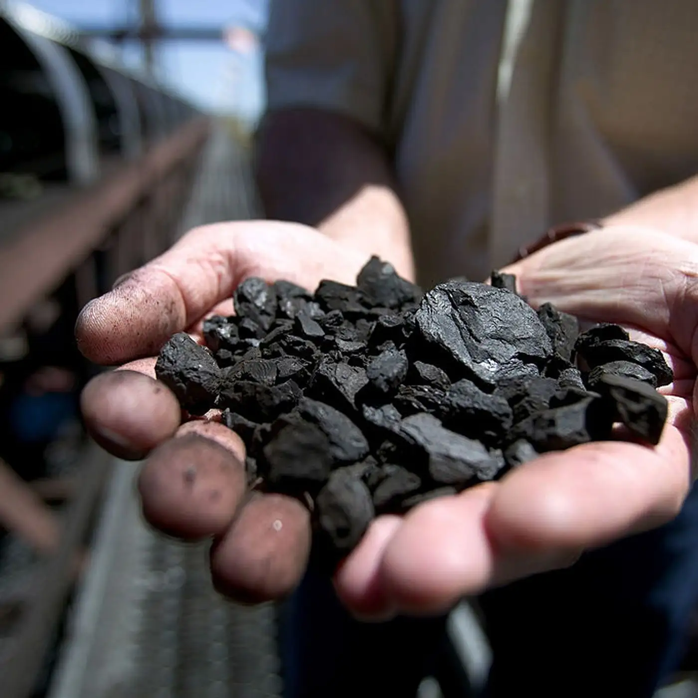 High Quality Wholesale Steam Coal / Wholesale Coal From South Africa / Pet Coke