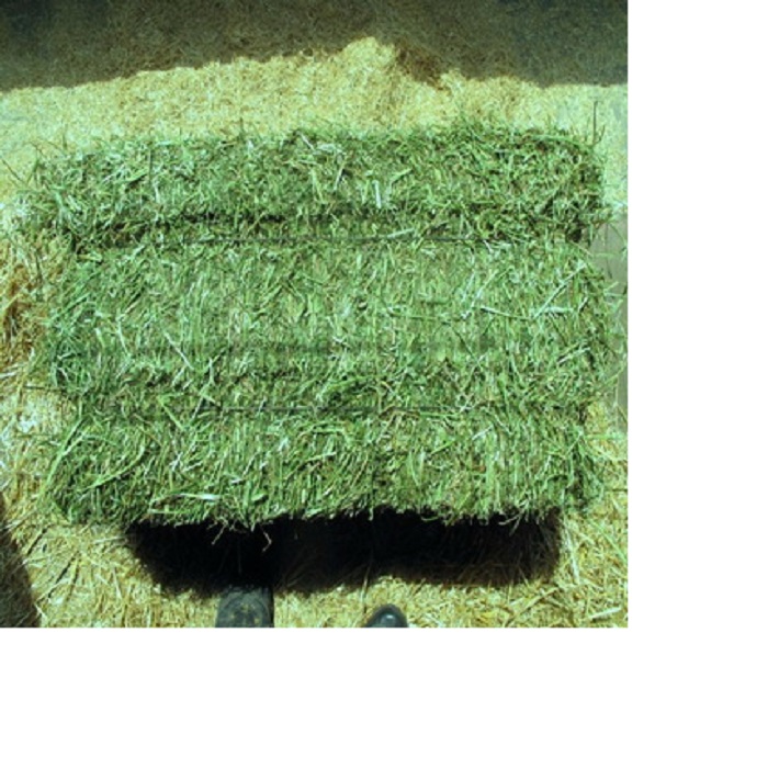 We Sell Top Quality Premium Alfalfa Hay, At Low Price...