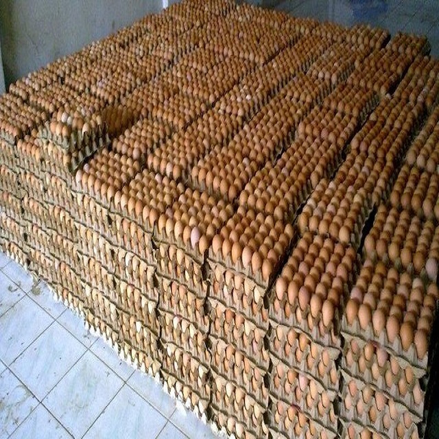Свежие яйца