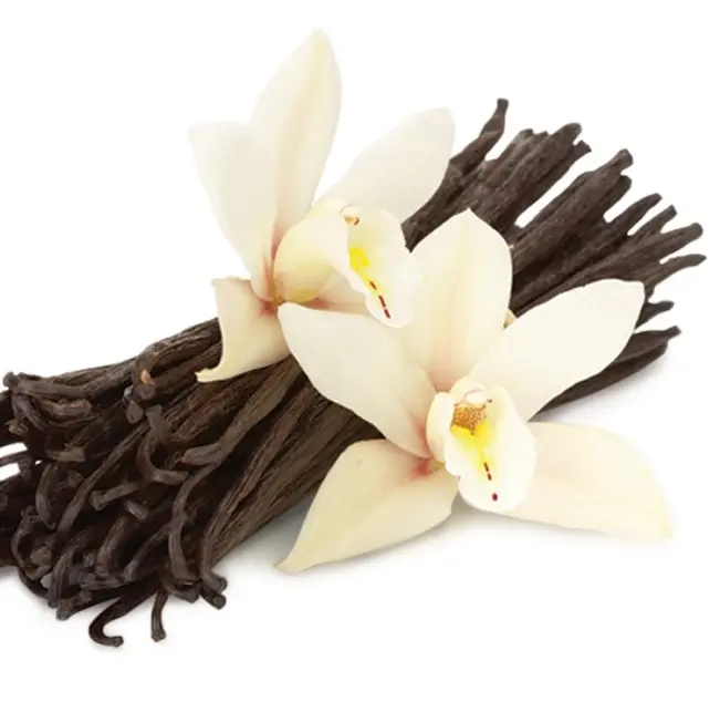 Best Selling Top Quality Vanilla Beans from Madagascar