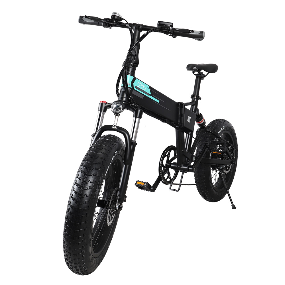 Electric Bike Fiido M1 100km Fat Tire E-BIKE