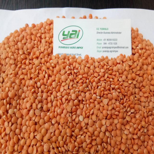 Красная чечевица/Masoor Dal экспорт в Индии