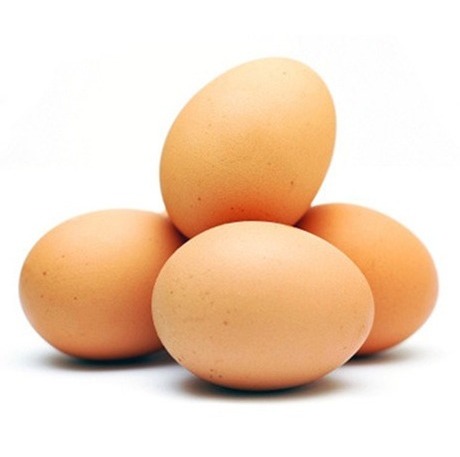 wholesale fresh white brown farm chicken eggs