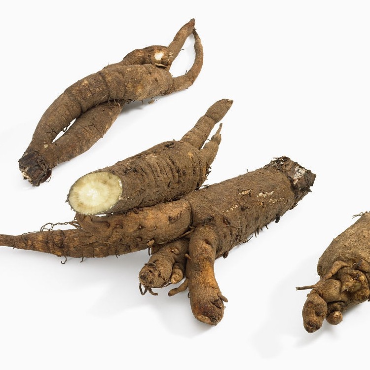 FRESH BURDOCK FOR SALE