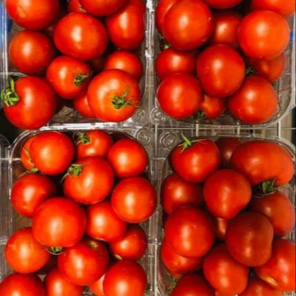 Свежие помидоры-вишни на продажу