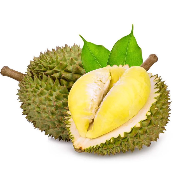 Vietnam Fresh Durian for exporting with rich vitamin, packaged carefully and standard quality shipping to EU, US, ASIA market